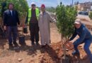 المجلس العلمي المحلي للجديدة وجمعية الفضاء الأخضر ينفذان مبادرة غرس 44 شجرة في “درب لحونا