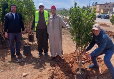 المجلس العلمي المحلي للجديدة وجمعية الفضاء الأخضر ينفذان مبادرة غرس 44 شجرة في “درب لحونا